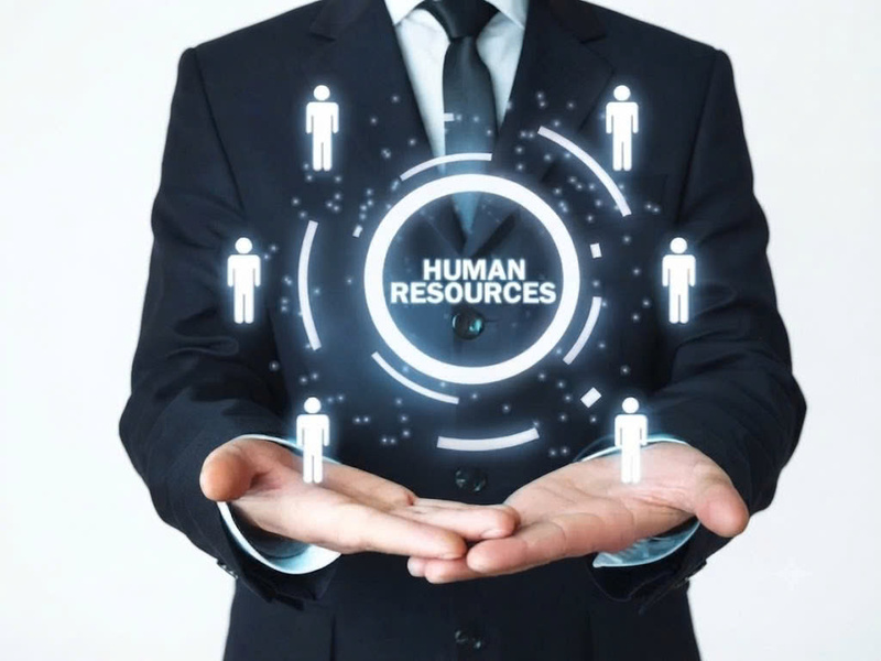 Human Resources Organization